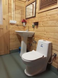 bagno con servizi igienici e lavandino di Satva Cottages ad Anjuna