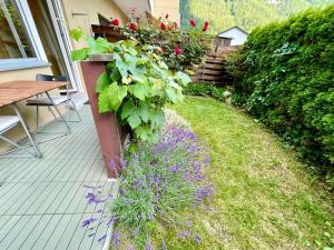 ロイカーバートにあるSunny-Nest, Garden Apartmentの紫の花と植物が植えられた庭園