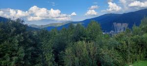 una vista aerea su un bosco di alberi e montagne di Villa Gold a Jaremče