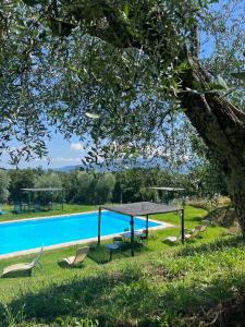 uma mesa e cadeiras ao lado de uma piscina em Azienda Agricola Fabbrica Di San Martino em Lucca