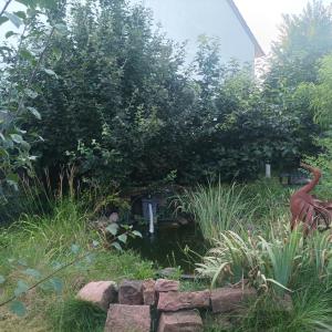 um lago no meio de um jardim em Naturfreunde Speyer 2P, altrheinnahe, hundefreundlich em Römerberg