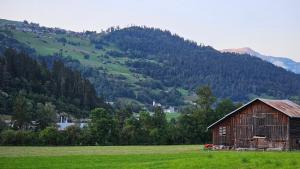 une ancienne grange dans un champ en face d'une montagne dans l'établissement Landgasthof zum Glenner, à Ilanz