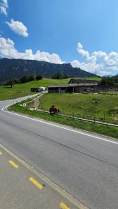 un cheval pontant sur le côté d'une route dans l'établissement Landgasthof zum Glenner, à Ilanz