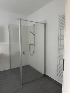 een douche met een glazen deur in de badkamer bij D&M Apartament Buchholz Sprötze in Buchholz in der Nordheide