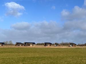 une rangée de maisons au milieu d'un champ dans l'établissement Dancamps Kolding City, à Kolding