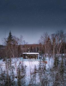 Scandi inspired chalet Mont Tremblant views and spa durante el invierno