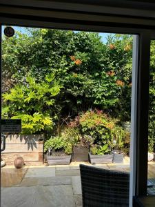 ein Fenster mit Blick auf einen Garten mit Pflanzen in der Unterkunft Bournemouth 1 Bed Garden Flat Luxury Hot Tub in Bournemouth