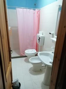 a bathroom with two toilets and a pink shower curtain at Albergo Alle Alpi in Comeglians