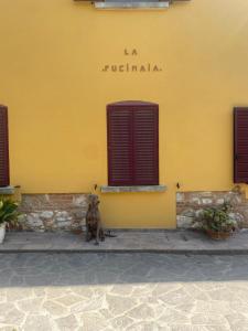 un cane seduto di fronte a un edificio giallo di B&B La Fucinaia Pet Friendly Adults only a Campiglia Marittima