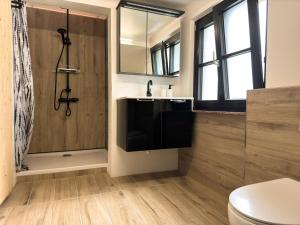 a bathroom with a shower and a toilet and a television at Godi's House in Vianden