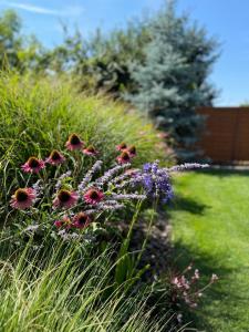 un giardino con fiori colorati nell'erba di Apartmán Květinová zahrada a Praga