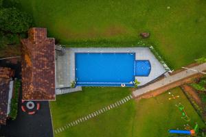 The swimming pool at or close to Theyila Wayanad Premium Pool Resort