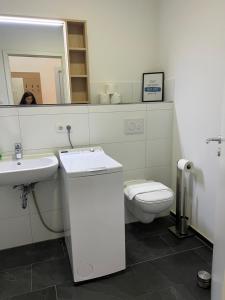 bagno con servizi igienici, lavandino e specchio di Fabella Flats Forchheim a Forchheim