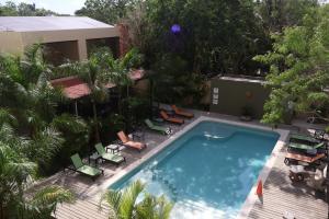 uma vista sobre uma piscina com cadeiras e uma casa em LOL-HA Hotel Boutique em Cancún