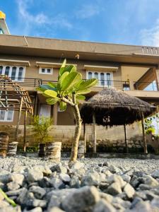 una piccola palma di fronte a un edificio di Coorg New Dreamland Homestay and tent stay a Kushalnagar