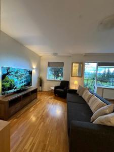 Húsavík Apartment TV 또는 엔터테인먼트 센터