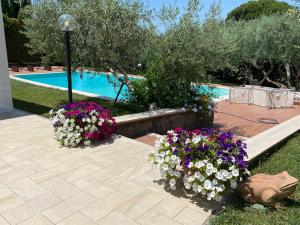 Piscina de la sau aproape de Visit Rome from a quiet place