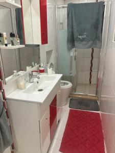 ein Bad mit einem Waschbecken, einer Dusche und einem WC in der Unterkunft T1 equipado Minde in Minde