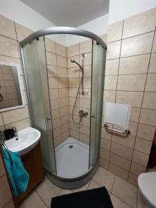 a shower with a glass door in a bathroom at Business and getaway in Jelgava