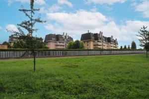 un arbre dans un champ avec des bâtiments en arrière-plan dans l'établissement Primopiano - Papa Giovanni, à Assago