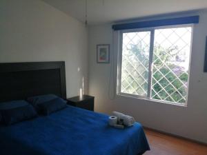 Un dormitorio con una cama azul y una ventana en Departamento Ciudad del Valle, en Tepic