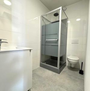 a bathroom with a glass shower and a toilet at Résidence Sainte Cécile in Thionville