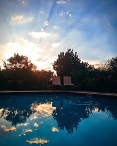 The swimming pool at or close to Cycad Place Midrand Guesthouse and B&B