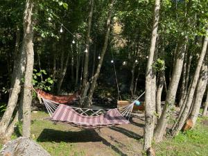 two hammocks hanging from trees in a forest at River side SVANETI in Mestia