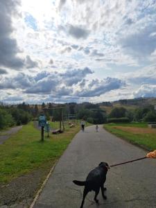 Ljubimac ili ljubimci u objektu Apartment am Rodelberg