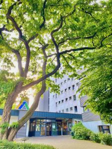 een gebouw met een boom ervoor bij Jugendherberge City-Hostel Köln-Riehl in Keulen