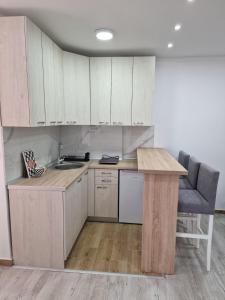 Dapur atau dapur kecil di Zed apartmani Leskovac