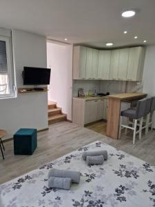 Dapur atau dapur kecil di Zed apartmani Leskovac