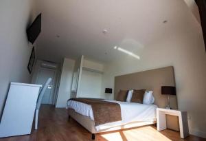 a bedroom with a large bed and a television at Hotel Quinta do Viso in Miranda do Corvo