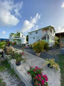 una fila de casas con macetas y flores en Tropic Arth Paradise, en Port-Louis