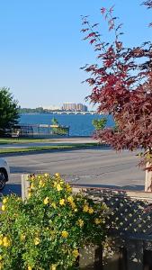 vista su una cassa d'acqua e su una strada con fiori di WaterfrontHome-RiverView, Windsor ,Canada a Windsor