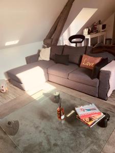 ein Wohnzimmer mit einem Sofa und einem Tisch mit Büchern in der Unterkunft STUDIO et JARDIN Village au bord de l eau Cour et Garage privés 