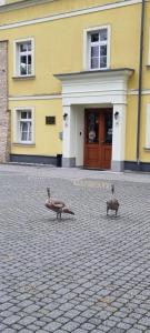 twee vogels die voor een gebouw staan bij Pałac Lucja BB in Zakrzów