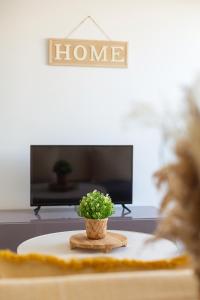 a potted plant sitting on a table in front of a tv at Le Péruvien - Saint-Cyr-L'Ecole - Free Parking in Saint-Cyr-lʼÉcole