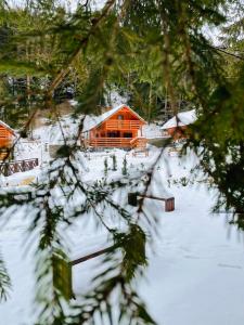 domek z bali i śniegiem na ziemi w obiekcie Lopušná dolina Resort w Wysokich Tatrych