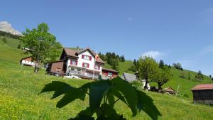 una casa en una colina en un campo de hierba en Gasthaus Schwand, en Engelberg