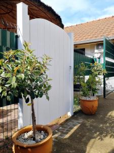 two potted trees in pots next to a white fence at Apartman TESLA 29 in Veternik