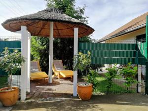 a patio with an umbrella and chairs and plants at Apartman TESLA 29 in Veternik