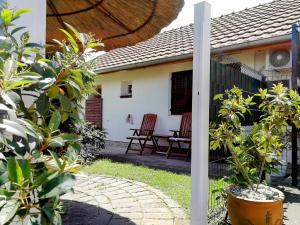 a view of a house from the garden at Apartman TESLA 29 in Veternik