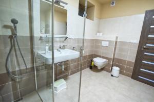 a bathroom with a shower and a sink and a toilet at Nice accommodation in Mikulov in Mikulov