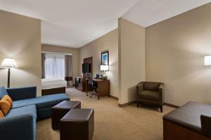 Svetainės erdvė apgyvendinimo įstaigoje Comfort Suites Hummelstown - Hershey