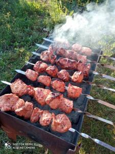 - un plat de cuisson de viande sur un grill dans l'établissement Qiwi House, à Ureki