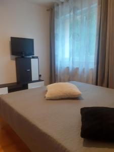 טלויזיה ו/או מרכז בידור ב-Apartament PARTER CU GRADINA