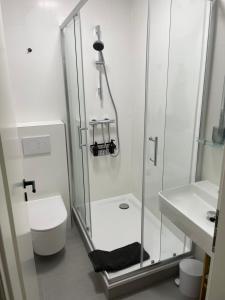 e bagno con doccia, servizi igienici e lavandino. di Hyggepartment Erlangen Zentrum a Erlangen