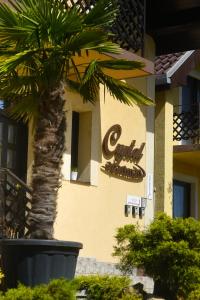 a sign on the side of a building with a palm tree at Crystal Apartman in Mórahalom