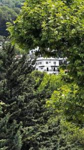 een wit huis in het midden van enkele bomen bij Guesthouse Filokalia in Portariá